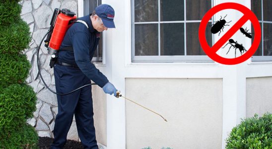 Kaynaklar Hamam Böceği İlaçlama böcek ilaçlama ve haşere kontrolü — ilaclama-tr.com